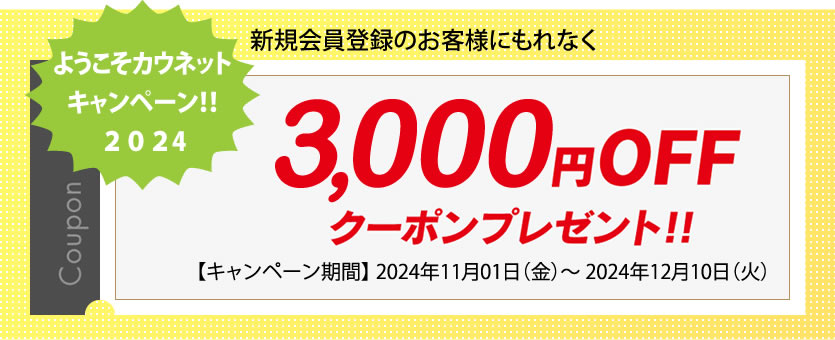 「3,000OFF」ポイントクーポンプレゼント