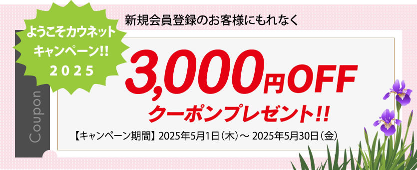 3000ポイントプレゼントキャンペーン実施中！